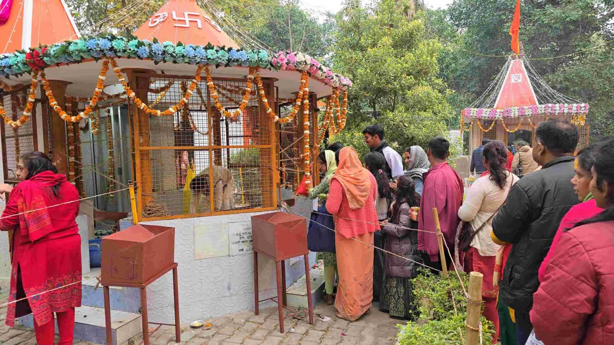 प्रदेशभर में महाशिवरात्रि की धूम,बम बम महादेव के जयघोष से गूंजे शिवालय